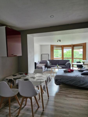 Joli studio une pièce 15min à pied centre dEpinal 4 personnes grâce au canapé lit, parking privé gratuit et parking extérieur gratuit Machine à laver TV wifi machine à café linge de lit et serviettes 